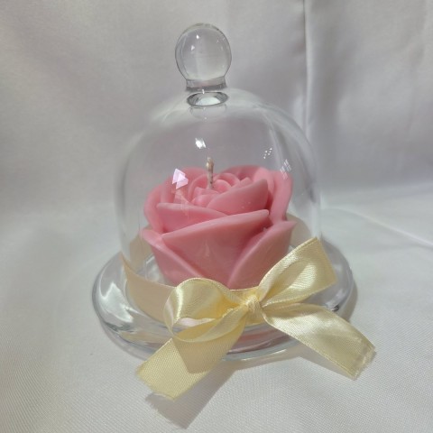 La rose éternelle