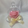 La rose éternelle